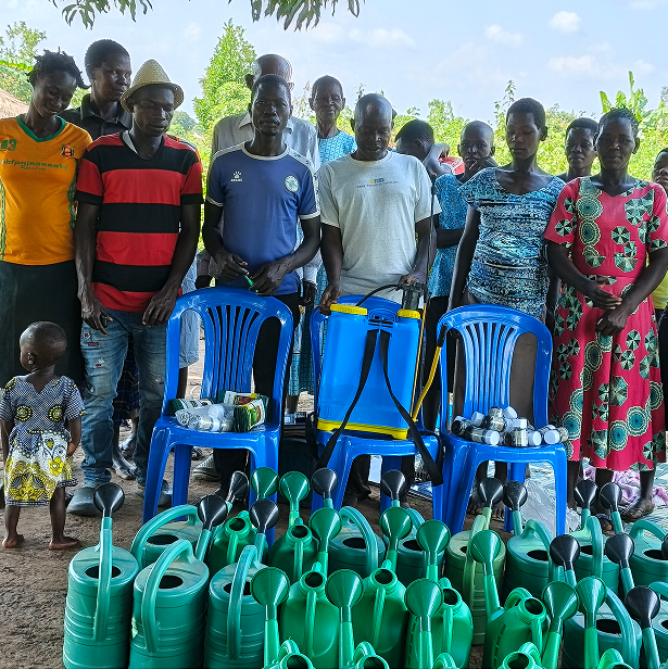 About Dreams Rescue Foundation